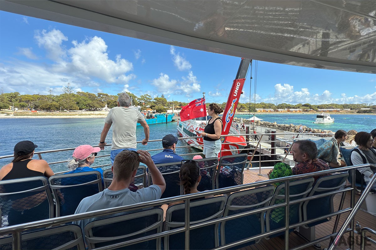 ロットネスト島へのアクセスはフェリーが定番。フリーマントルからなら約30分、ヒラリーズからは約45分