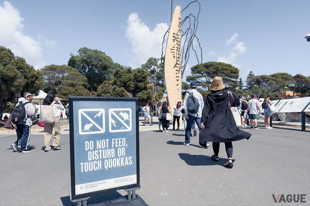 生態系を守るため、クオッカにエサをあげたり触ったりすることは禁止されている