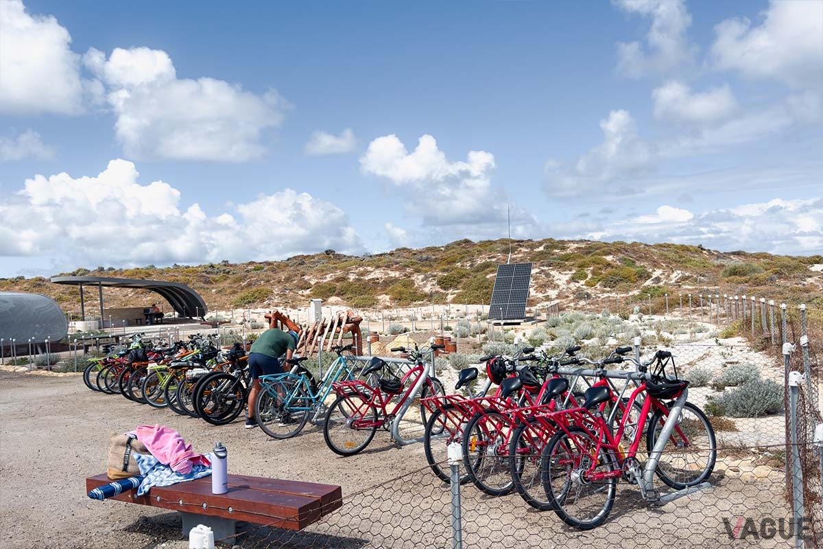 ブラミン岬までは自転車で30分ほど