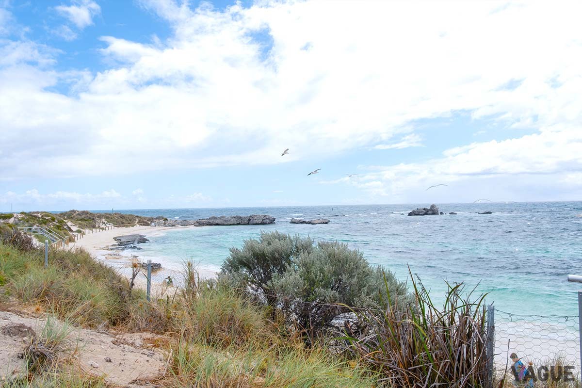 「ディスカバリー・ロットネスト・アイランド」の眼の前に広がるピンキー・ビーチ