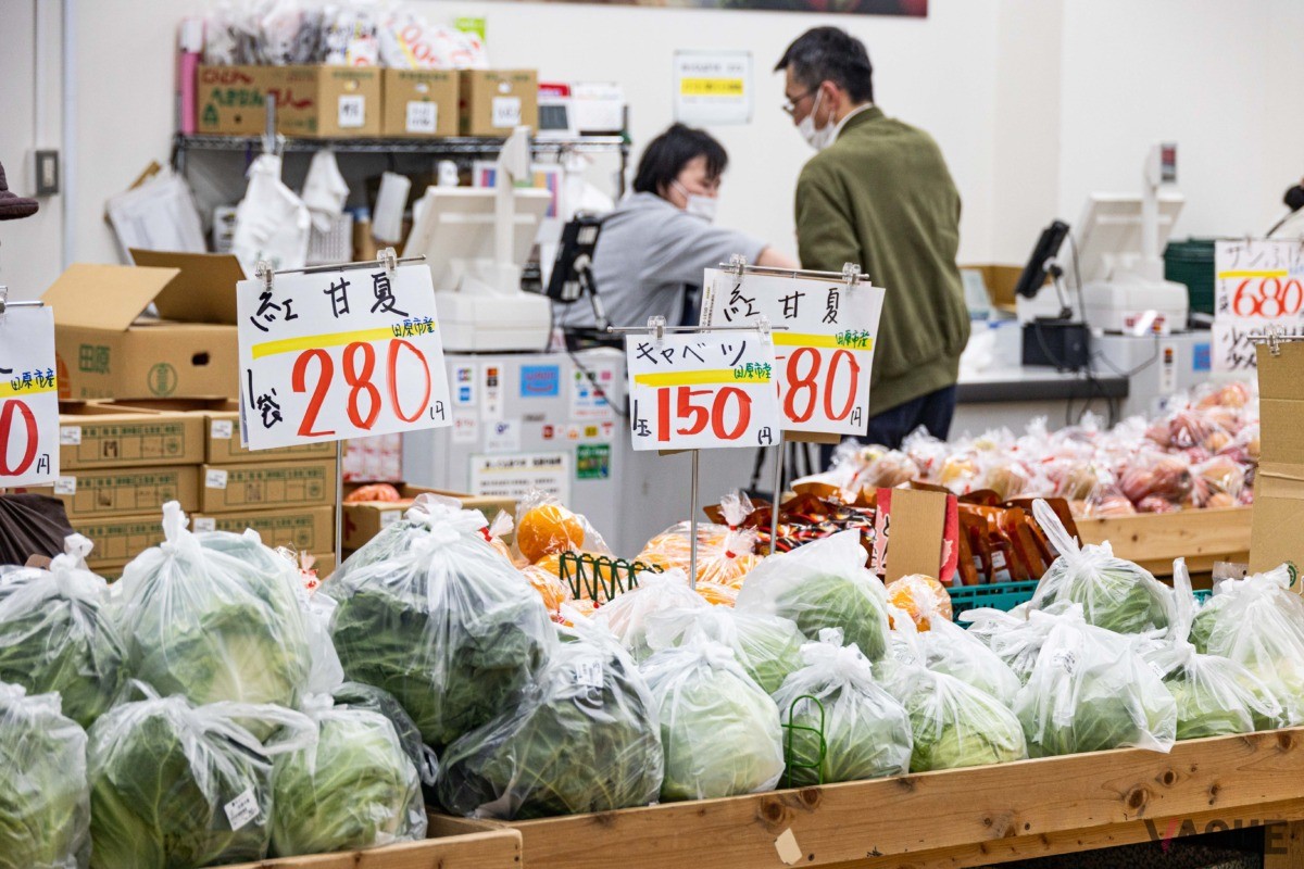 渥美半島はキャベツの産地だけあって、都会と比べると以上なほど安かった