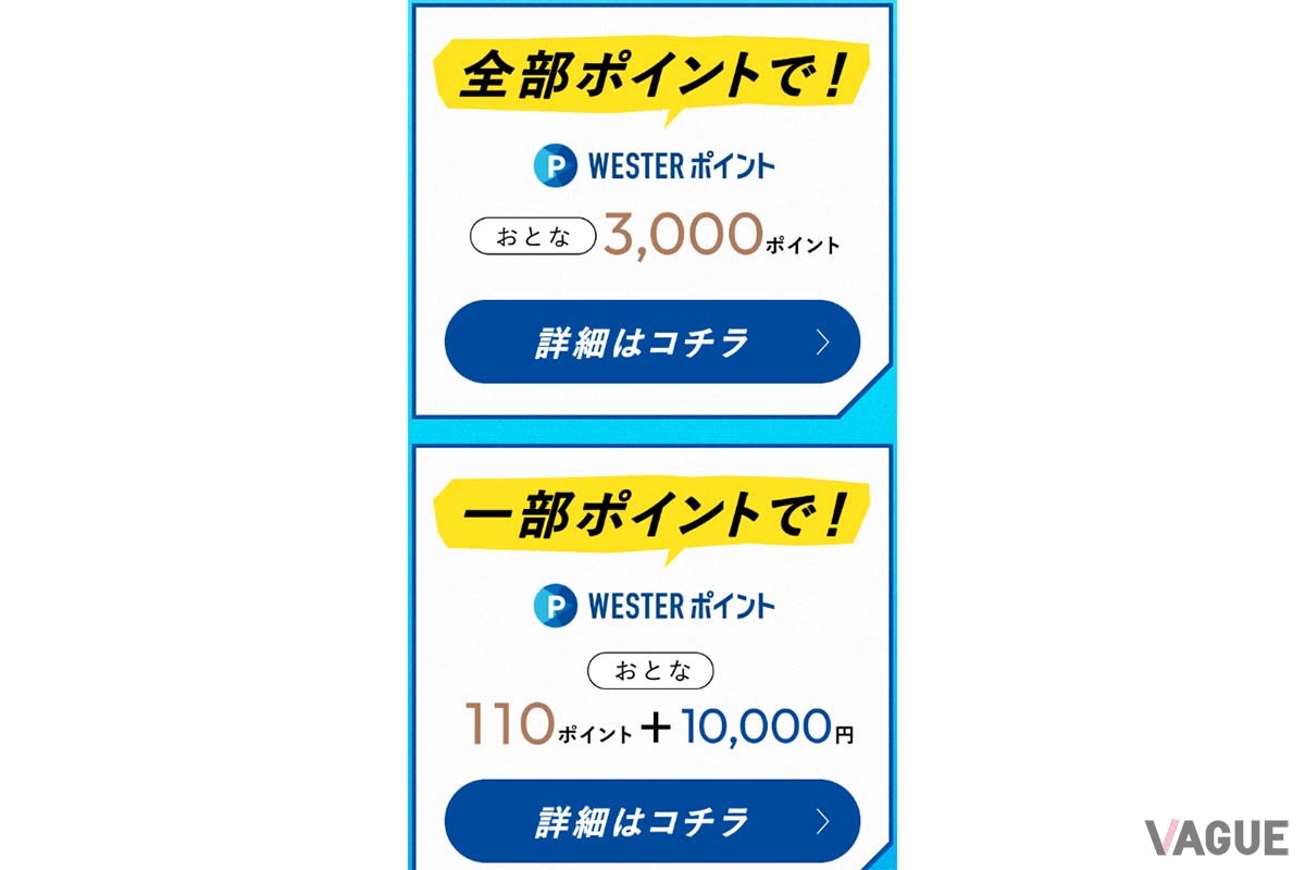 4月30日から6月28日まで発売される「WESTERポイント北陸新幹線フリーパス」