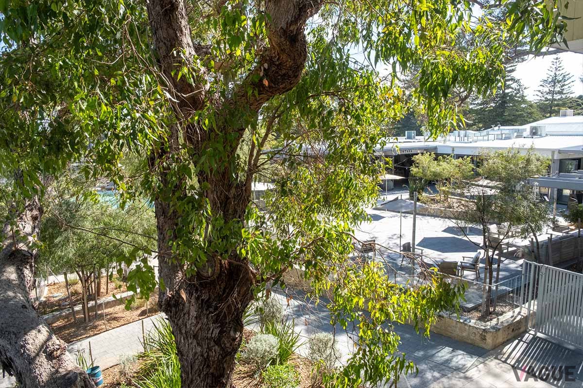 レストラン「ロンタラ」を擁する「サンファイア・ロットネスト」は、森を思わせる植栽を活かしたブティックホテル