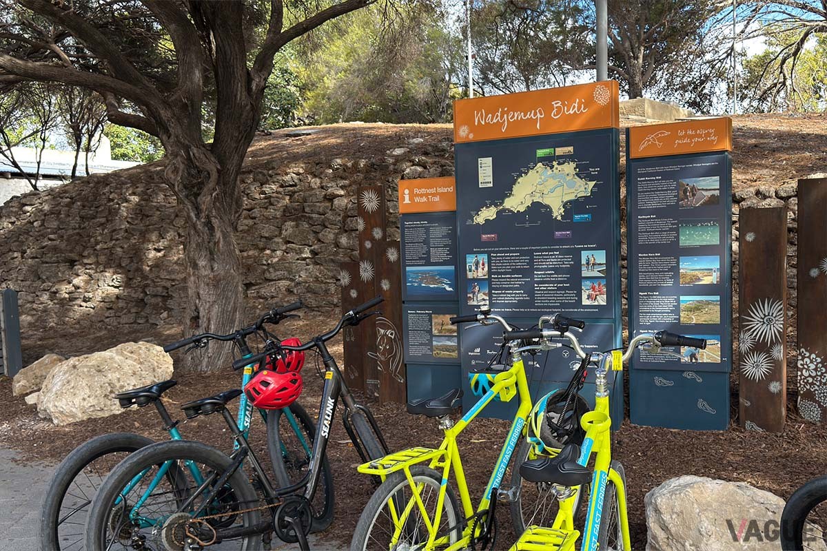 東京の新宿区ほどの大きさだというロットネスト島