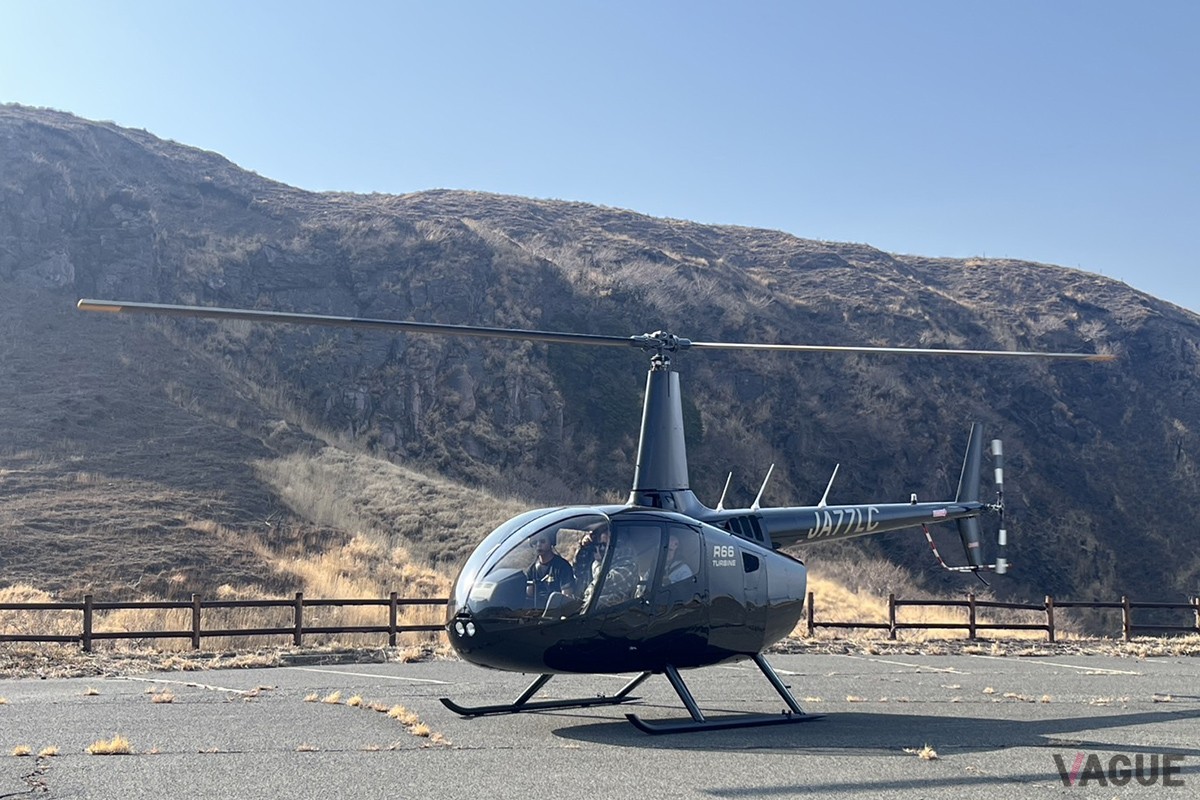 Robinson R66