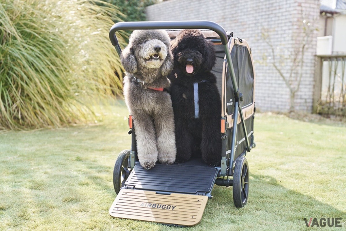 愛犬がリラックスできるスペース設計