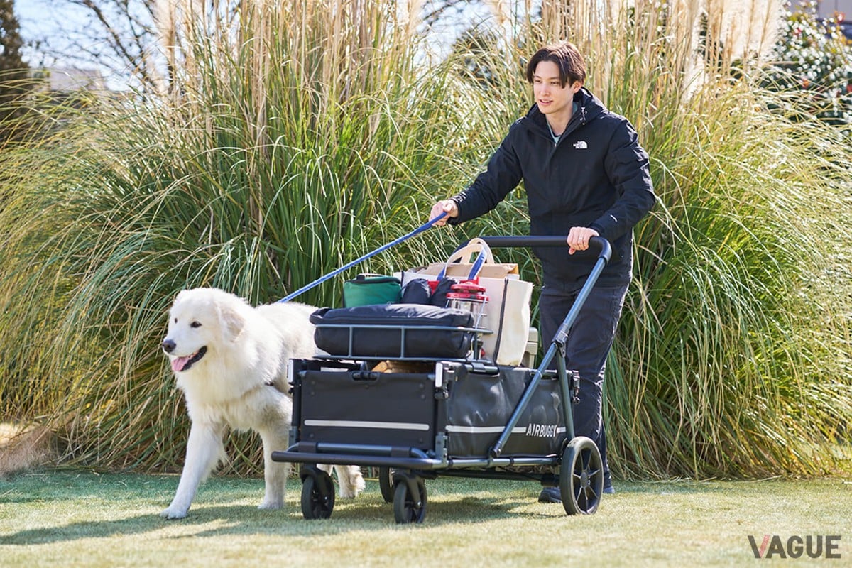 超大型犬との暮らしを支えるカート