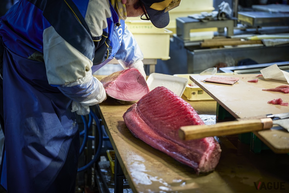 3日目　塩釜水産物仲卸市場（宮城県塩竃市）