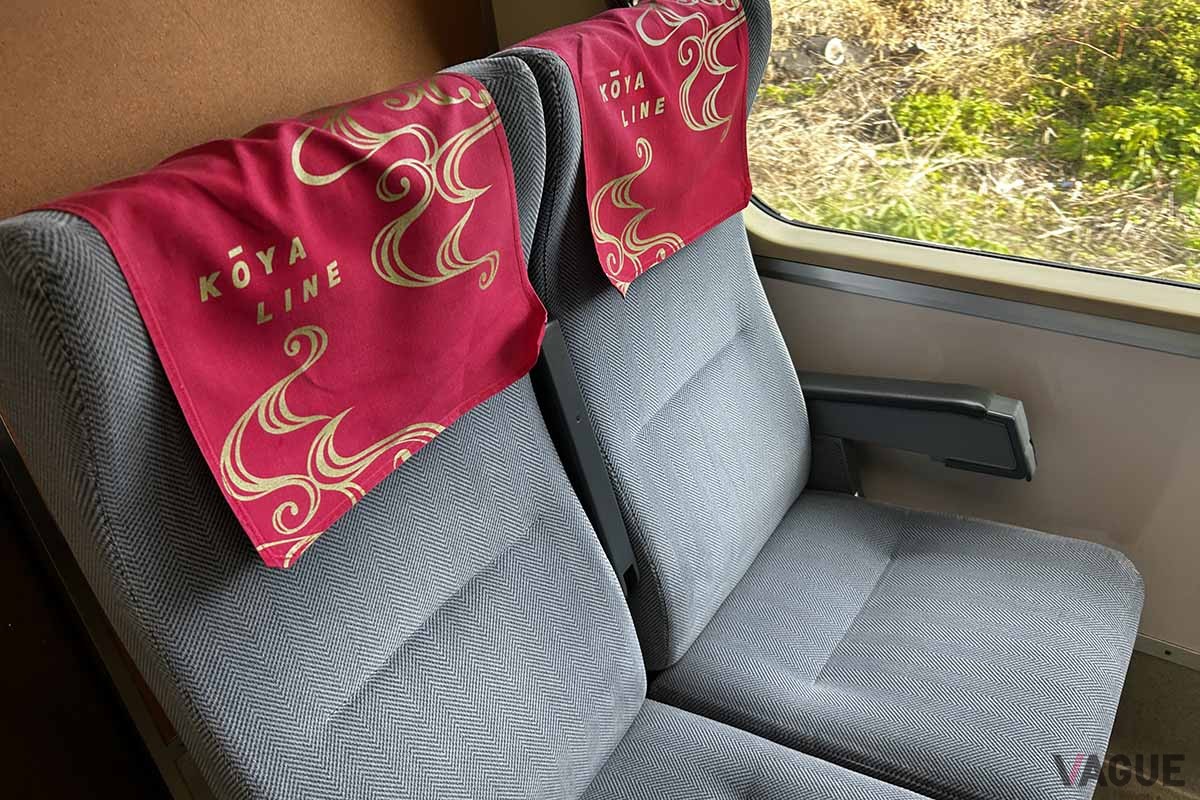 特急「こうや」の車内