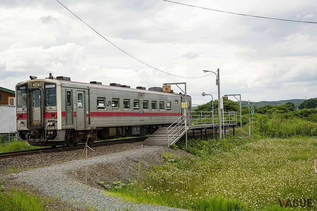 JR北海道とピーチがタイアップした企画乗車券「Peachひがし北海道フリーパス」および「Peachきた北海道フリーパス」が発売中だ