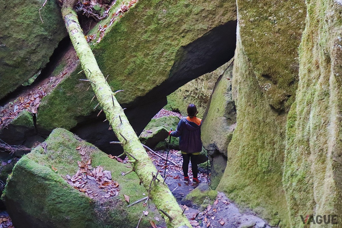 樽前山の雄大な景色を堪能する特別な体験