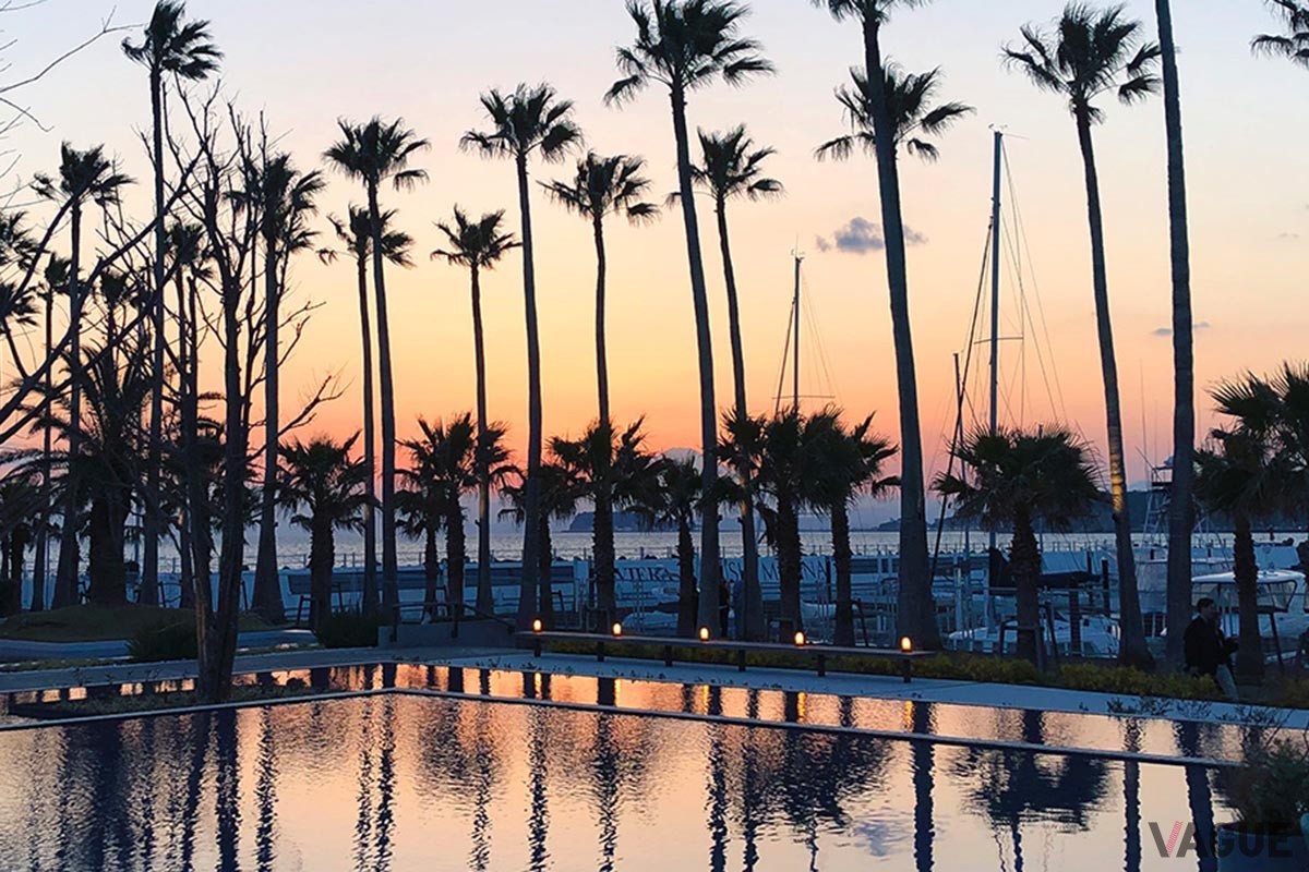 マリブファーム（テラス）