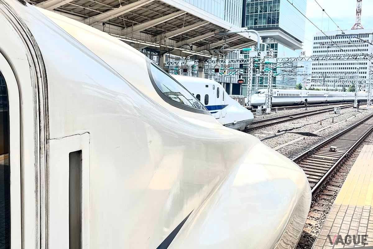 東海道新幹線を“おトク”に使えるJR東海の「ずらし旅」。混雑する時間を“ずらす”ことで格安に新幹線に乗ることができるが、追加料金を払うことで列車を変更することが可能だ