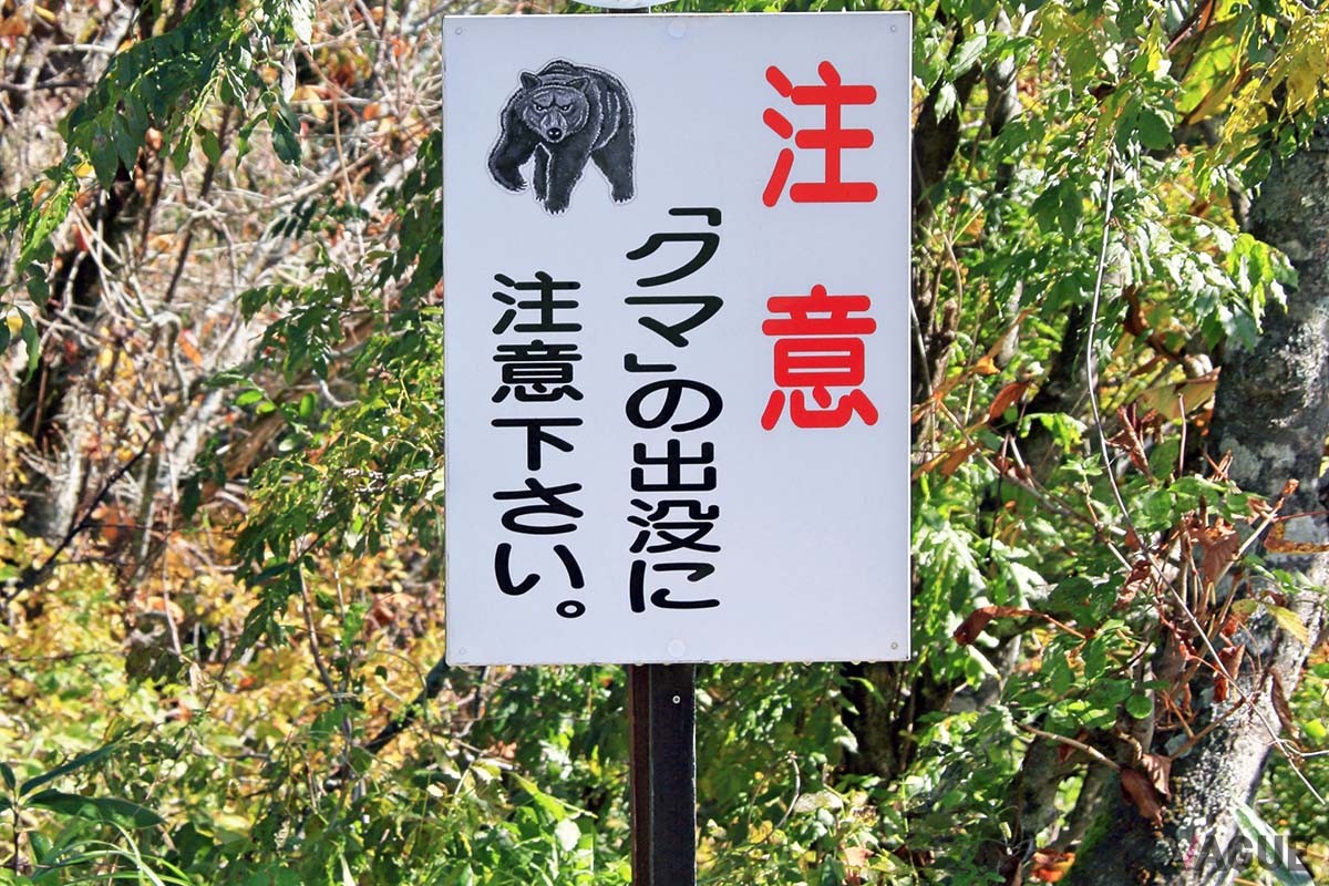 野生生物の危険性もあり、熊よけ道具なども備えるべき