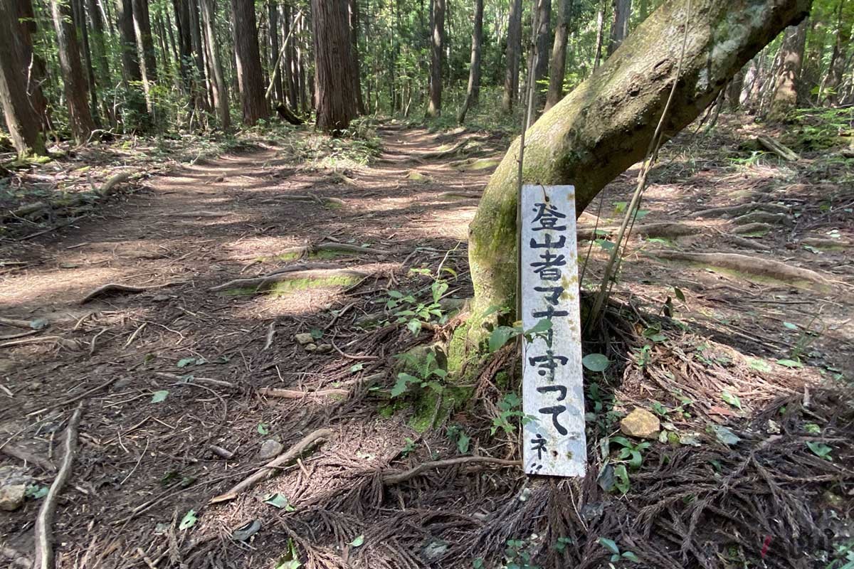 タバコのポイ捨てなど、火気については厳重に注意する