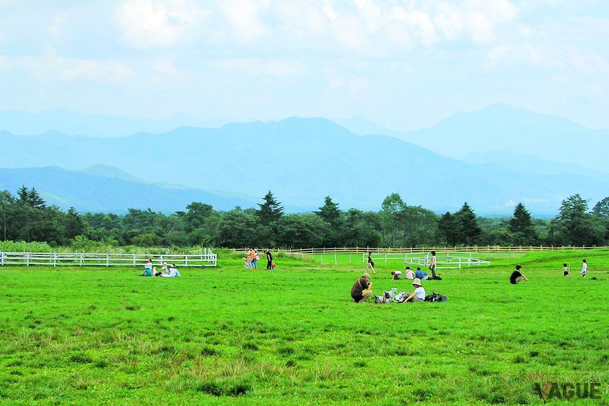 清里高原「山梨県」