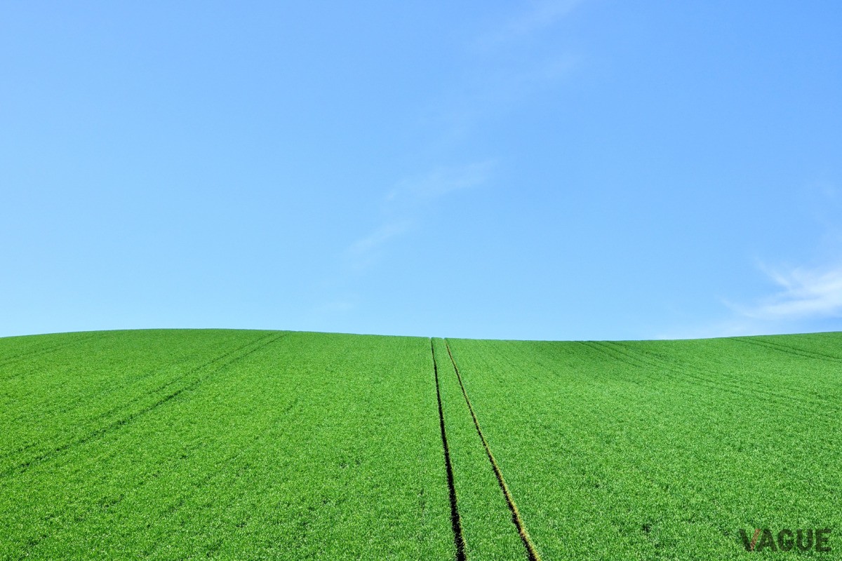 富良野「北海道」
