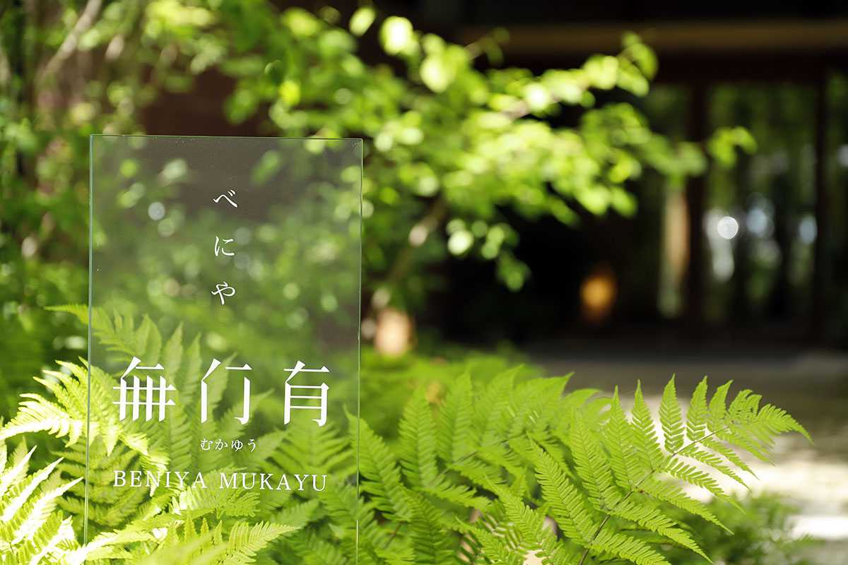 山庭を囲むようにして建つ「べにや無何有」。すがすがしい日差しに照らされた庭の自然が美しく映える