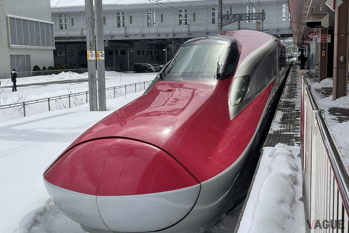 どこかにビューーン！グリーン！は東北新幹線の那須塩原駅から新青森駅の18駅、秋田新幹線の雫石駅から秋田駅の5駅、山形新幹線の米沢駅から新庄駅の10駅、北陸新幹線の軽井沢駅から上越妙高駅の6駅、上越新幹線の上毛高原駅から新潟駅の7駅からランダムに選ばれた駅に行くことができる