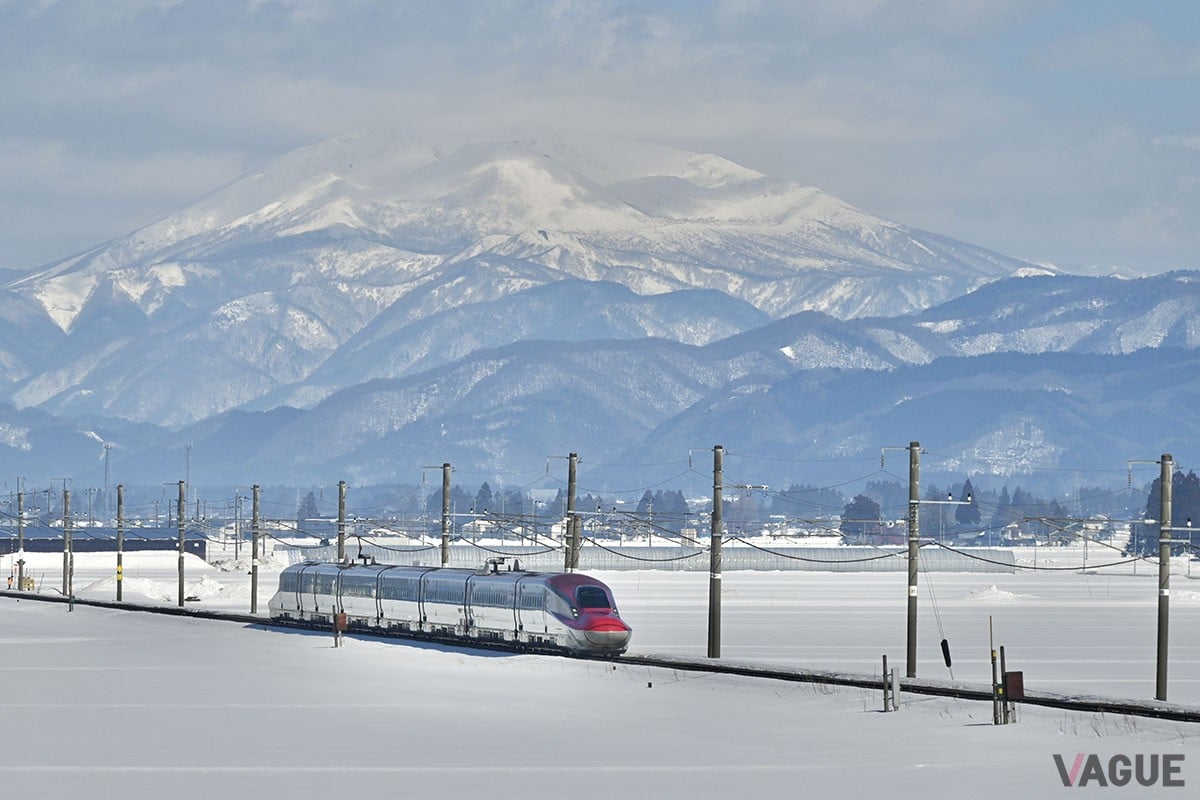 どこかにビューーン！グリーン！は東北新幹線の那須塩原駅から新青森駅の18駅、秋田新幹線の雫石駅から秋田駅の5駅、山形新幹線の米沢駅から新庄駅の10駅、北陸新幹線の軽井沢駅から上越妙高駅の6駅、上越新幹線の上毛高原駅から新潟駅の7駅からランダムに選ばれた駅に行くことができる