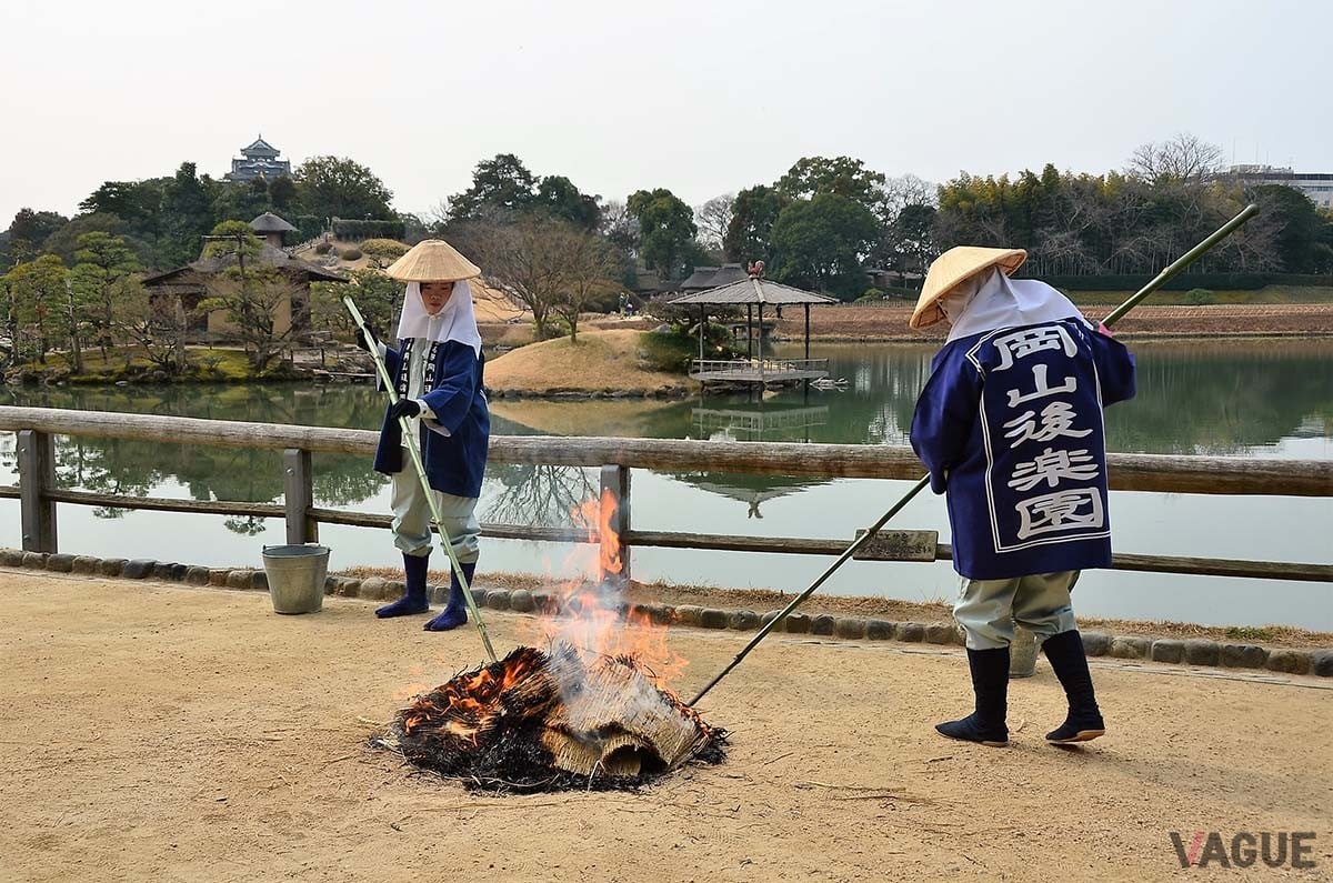 菰を焼き払う作業は「菰焼き」など、冬の見どころが多い後楽園