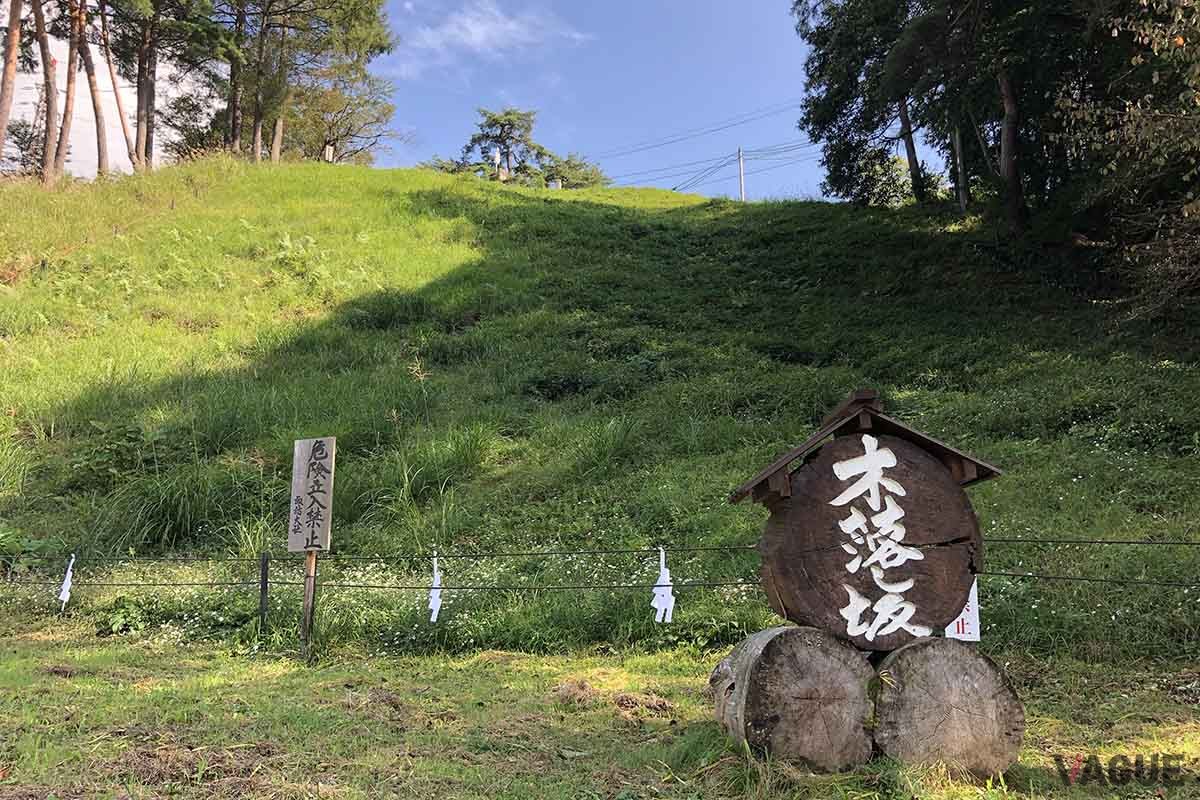 諏訪大社の下社木落し坂