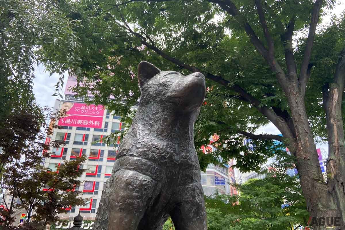ハチ公は持ち込めない