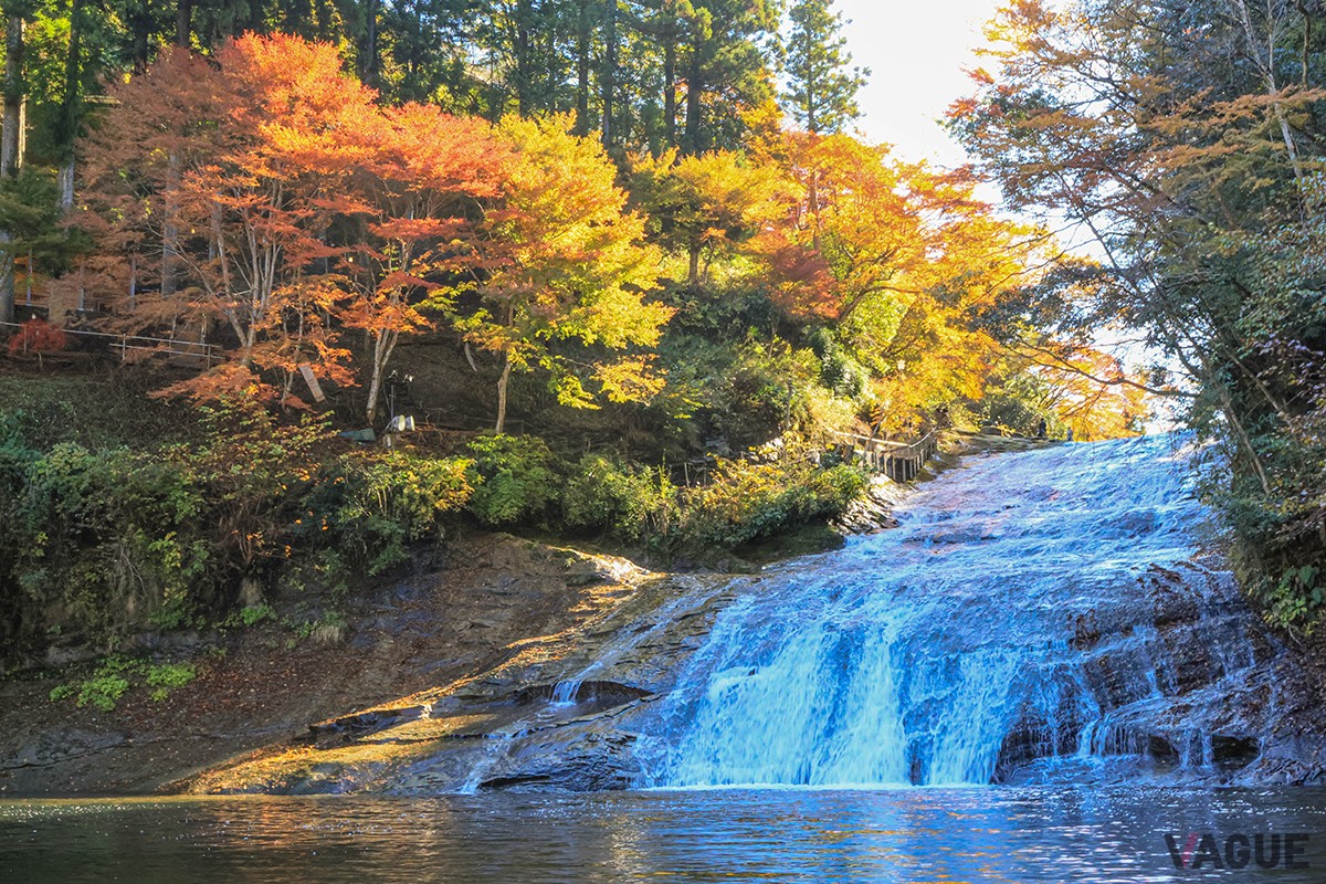粟又の滝