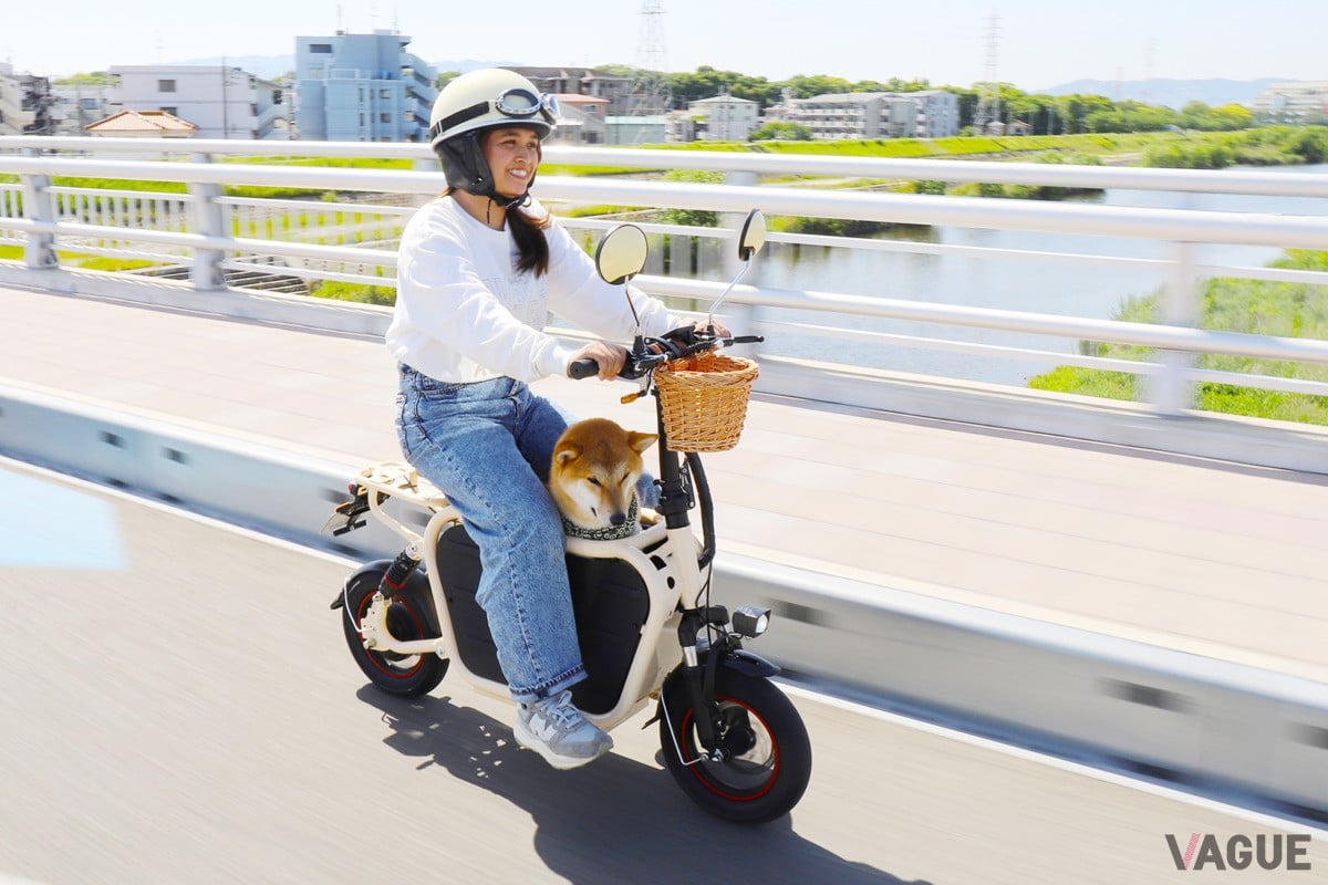 Doggie Ver.3：24万2000円