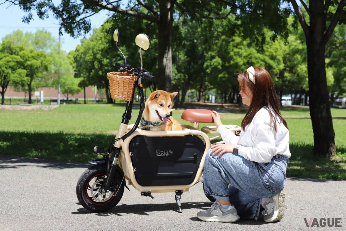 Doggie Ver.3：24万2000円