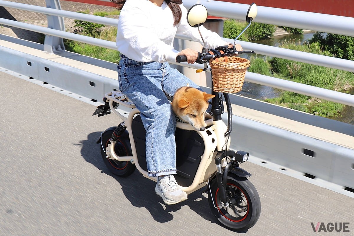 Doggie Ver.3：24万2000円