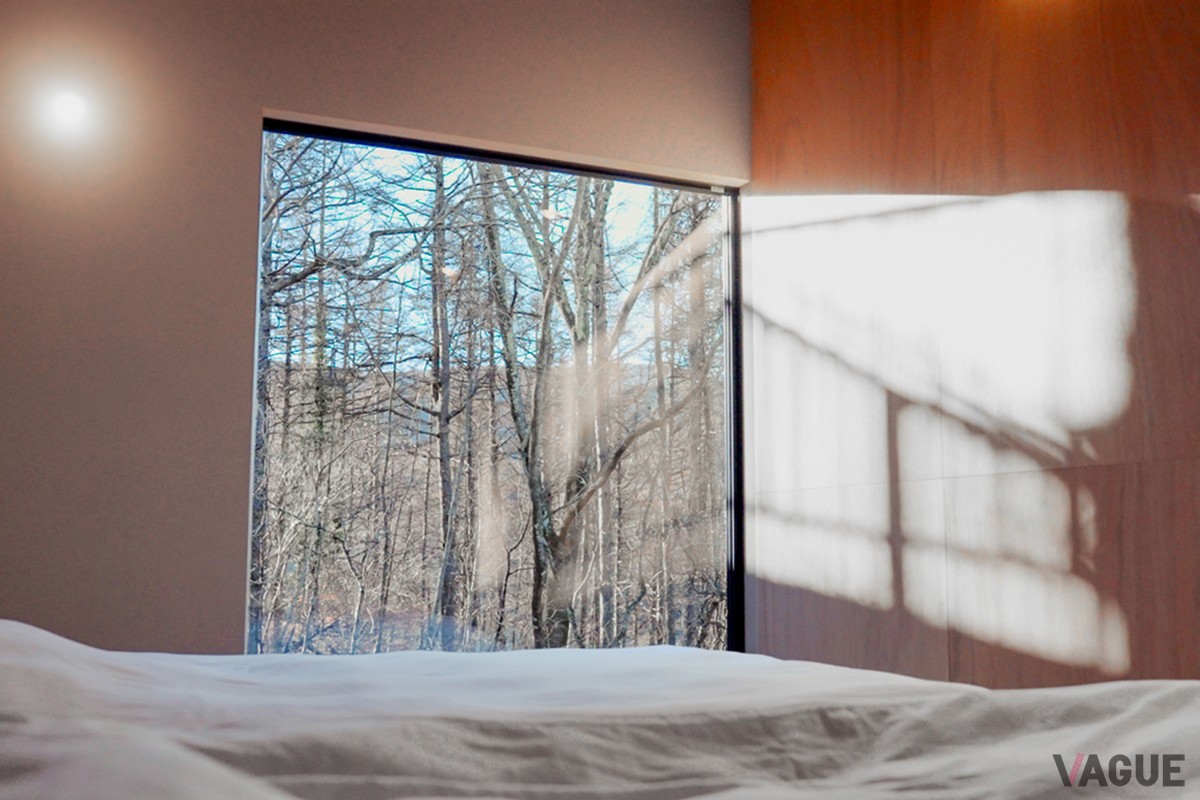 窓越しに広がる山中湖の森