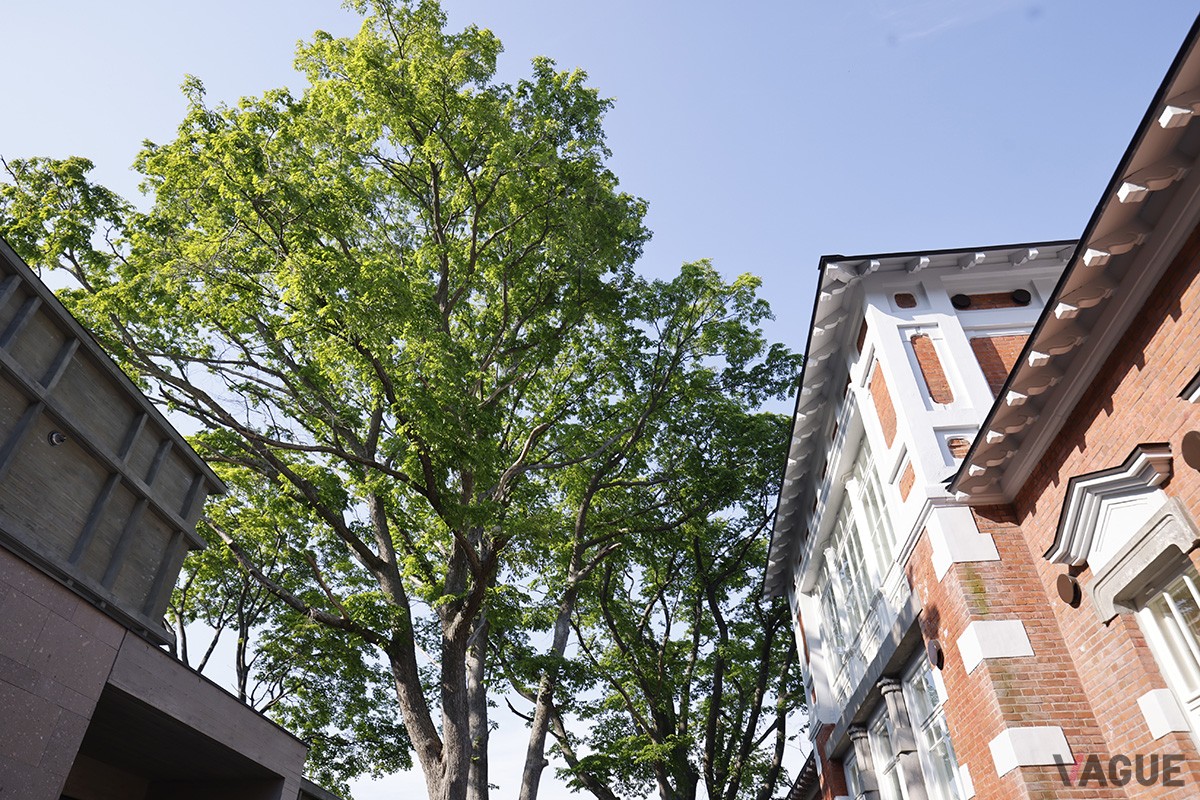 HOTEL 白林 HAKODATE