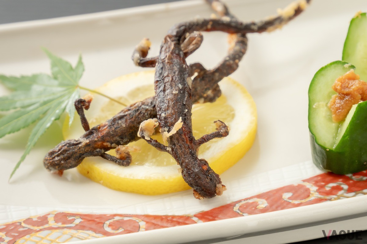 サンショウウオのから揚げ