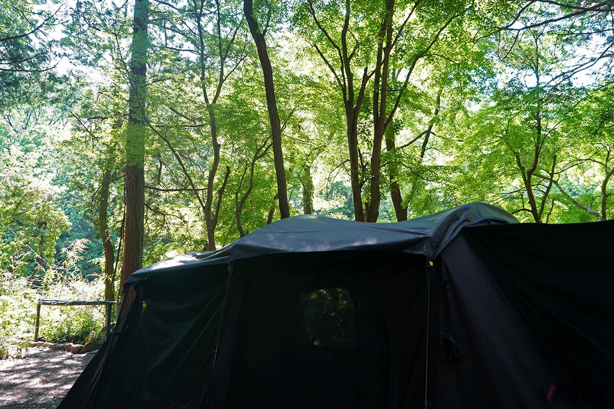 BLACK ZEPHYR：7万7000円