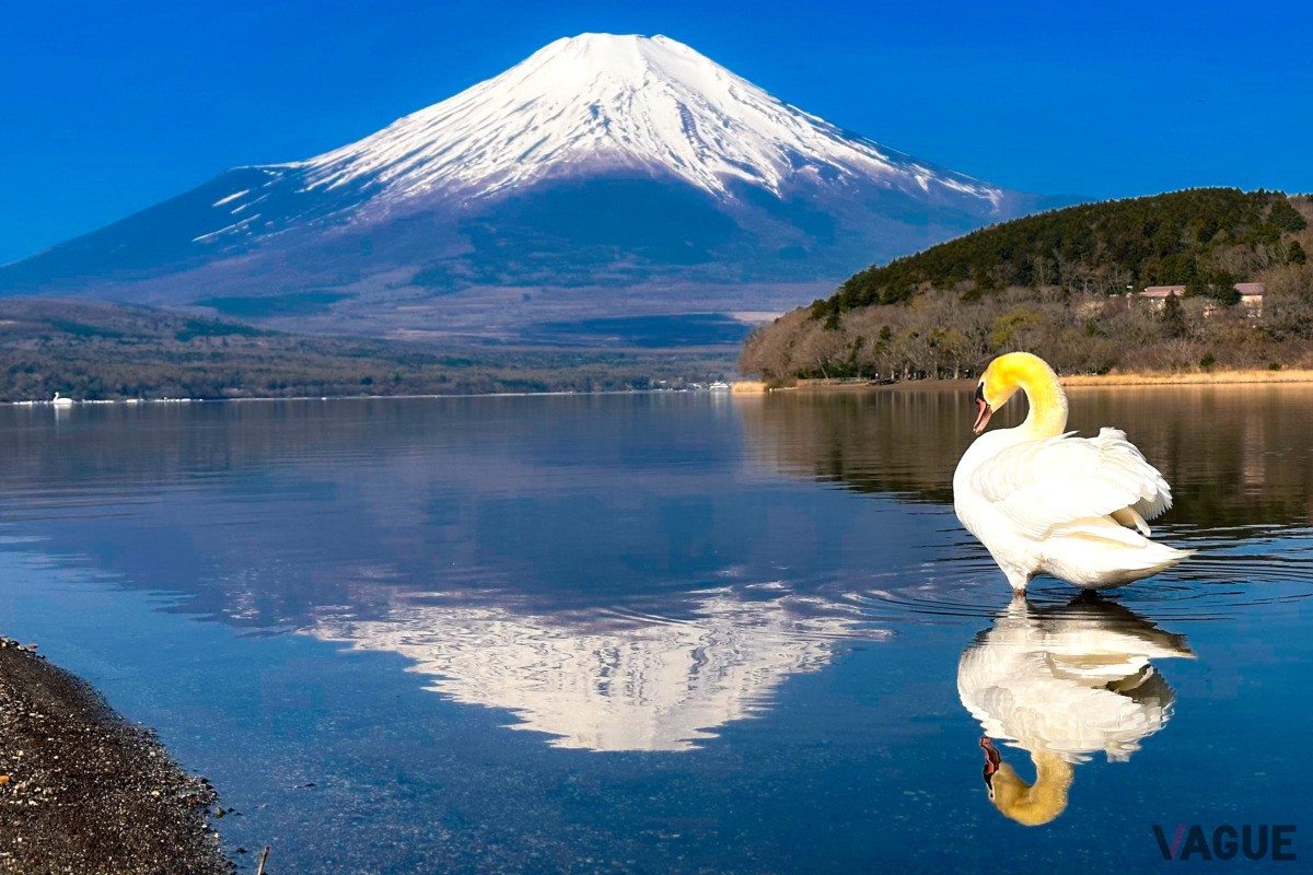 澄んだ冬空と湖畔の静寂に包まれる絶景ドライブ