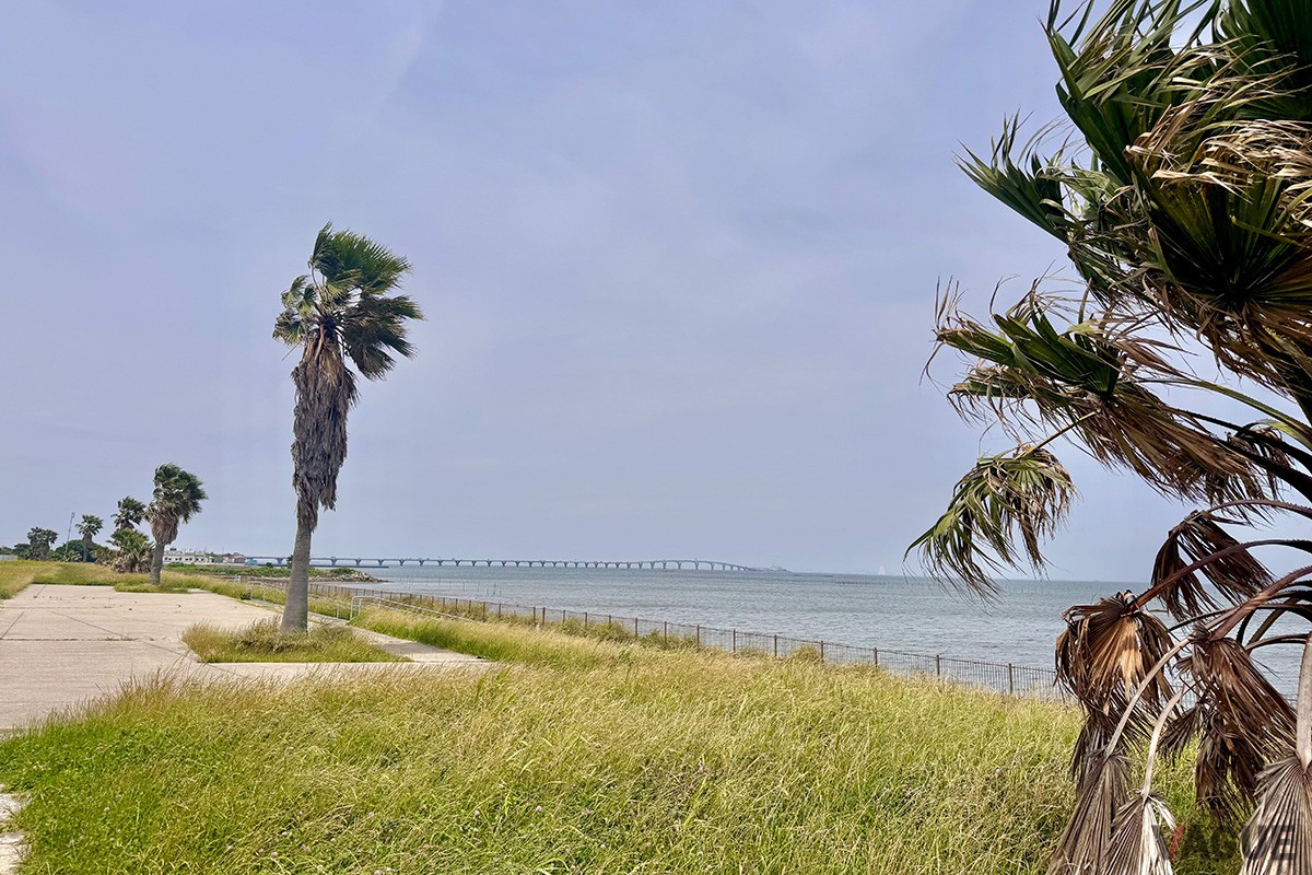 金田さざなみ公園