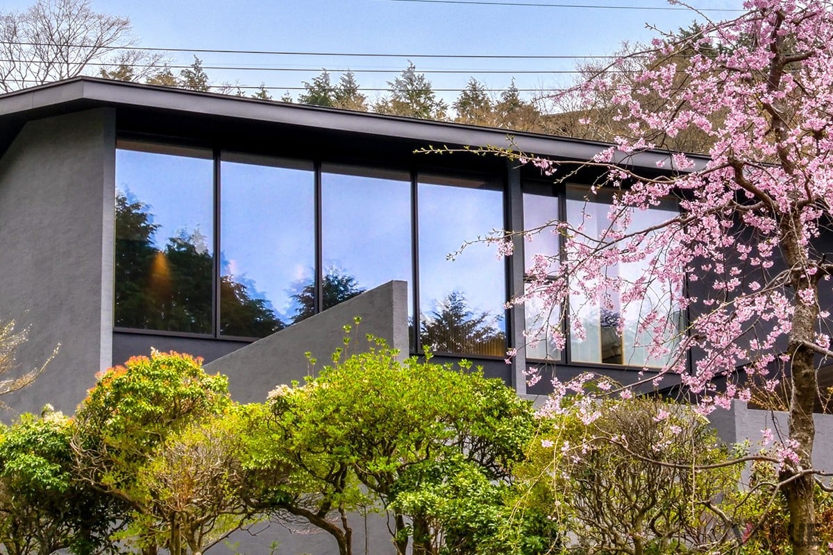 春には桜も