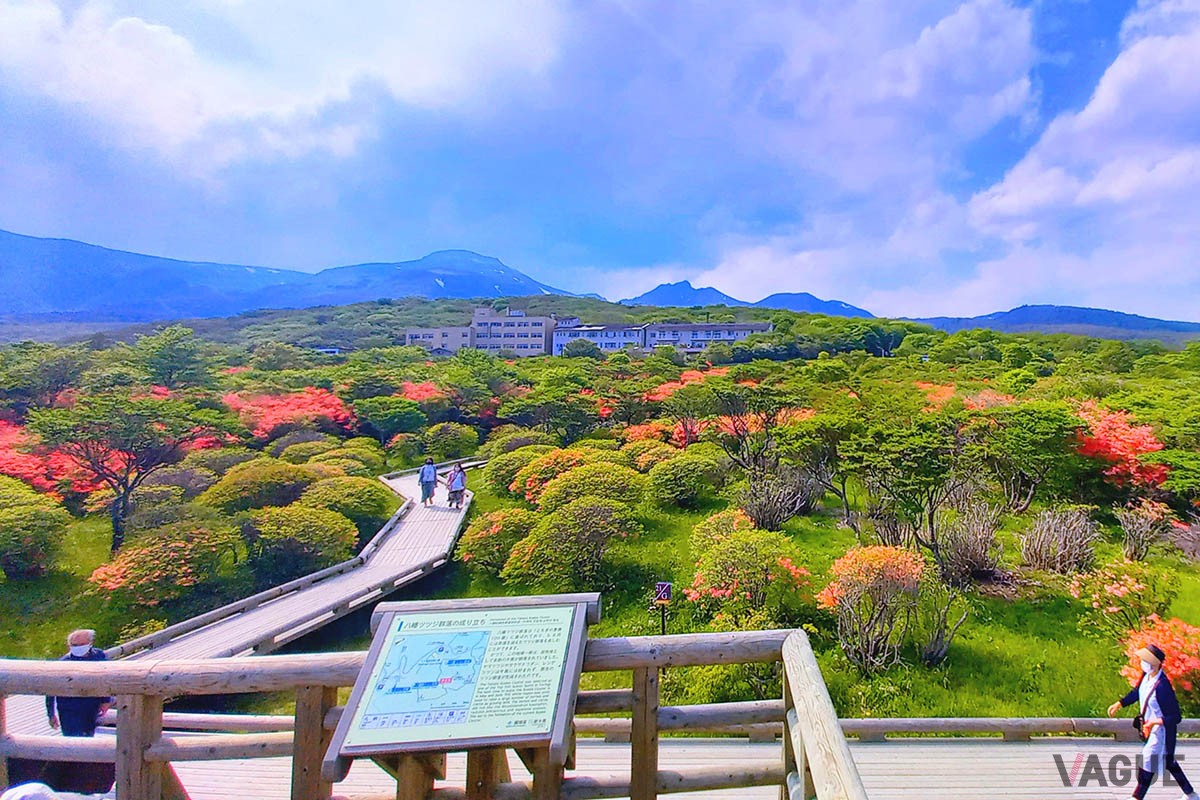 1位：那須高原【栃木県】