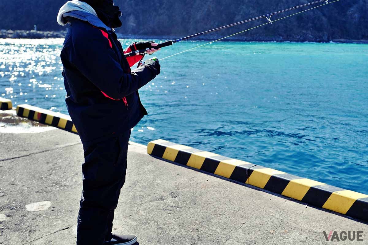 伊豆大島
