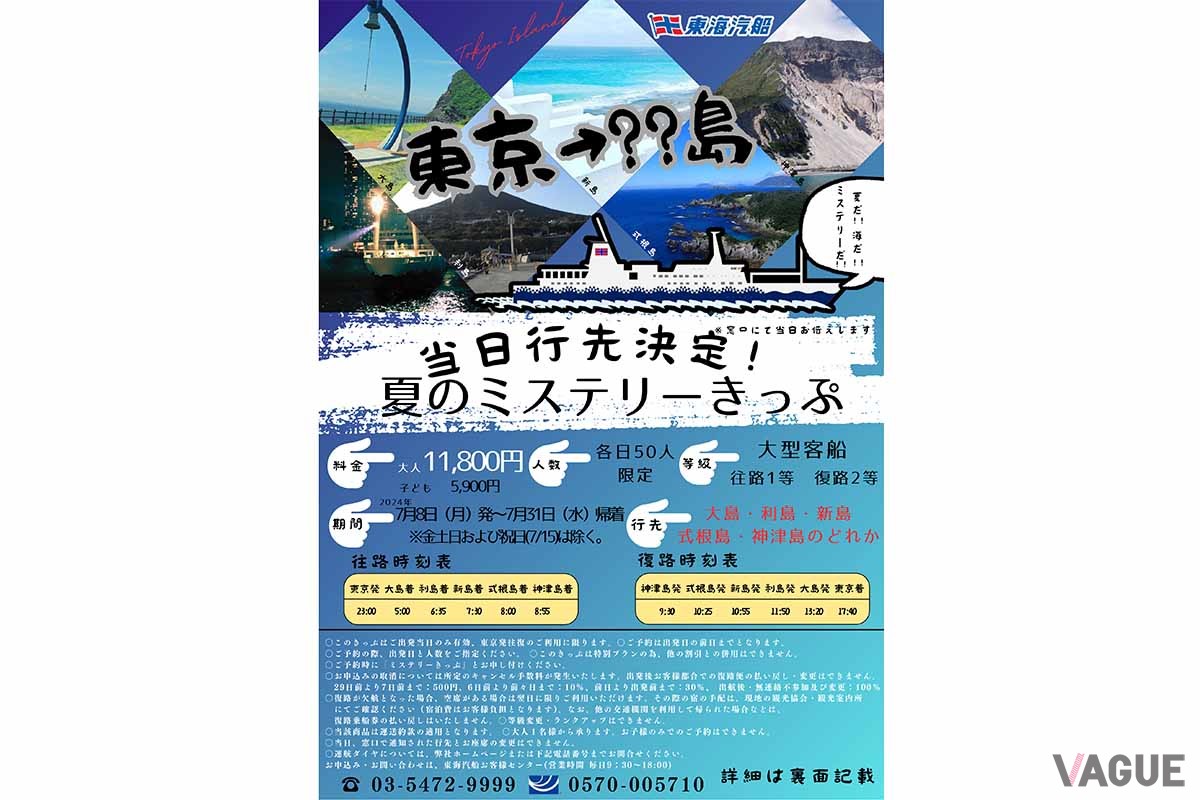 過去に開催された「ミステリーきっぷ」のリーフレット