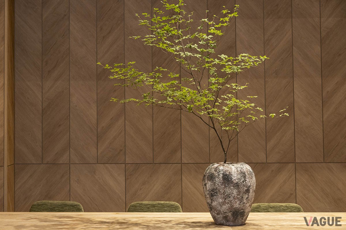 店内に飾られた枝ものは色々。卓上に映る葉の影が美しい