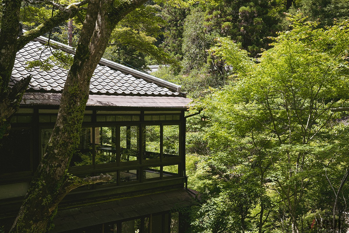 国定公園の中に佇む、静けさの宿