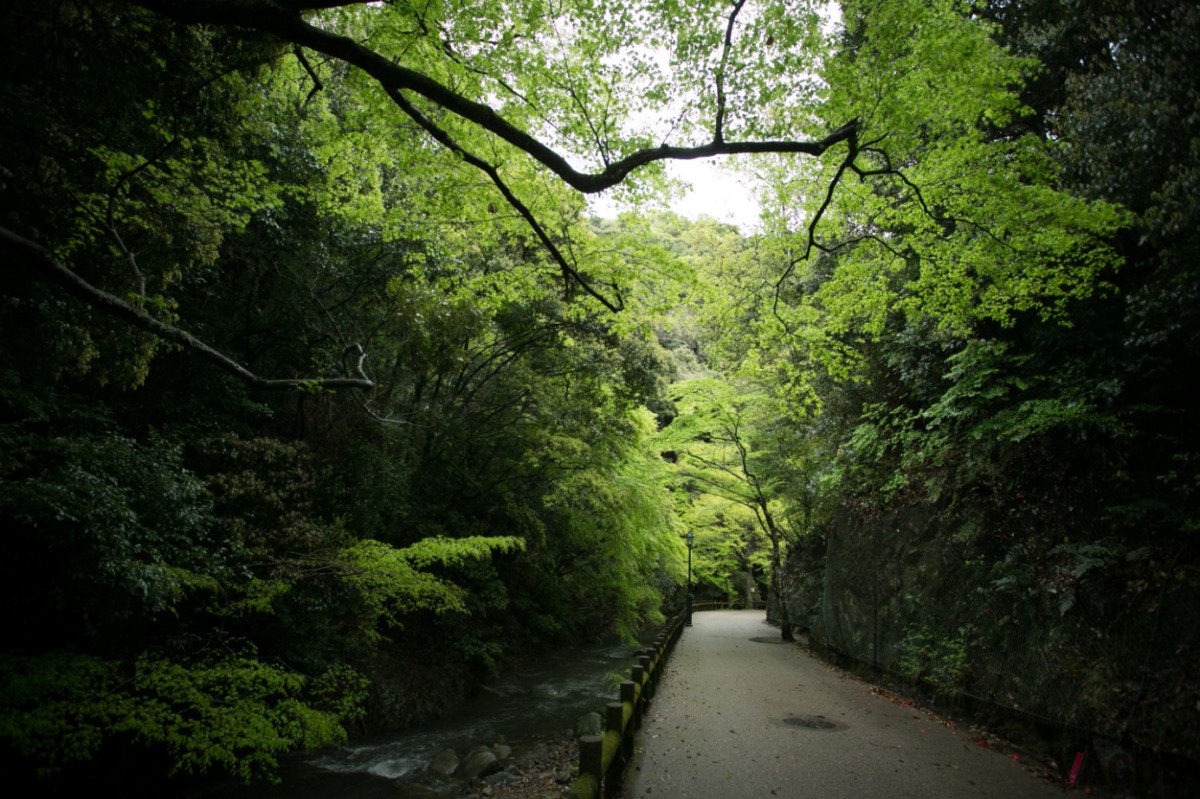 箕面大滝まで徒歩20分