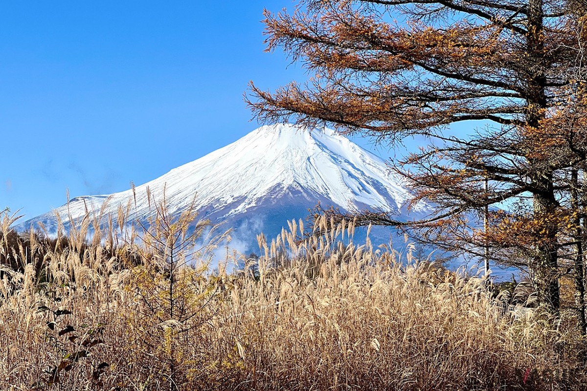 敷地からの景色
