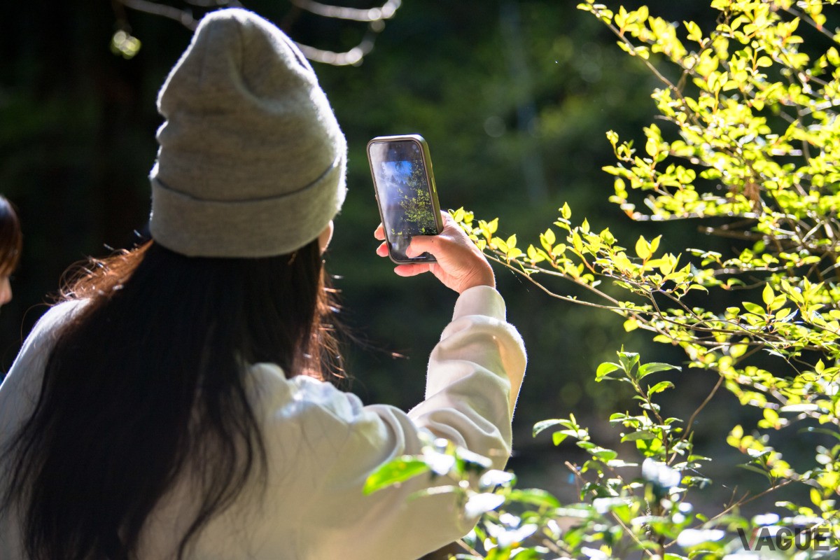 ミシュラン三つ星の高尾山麓で、移ろいゆく季節の匂いや空のグラデーションを感じる
