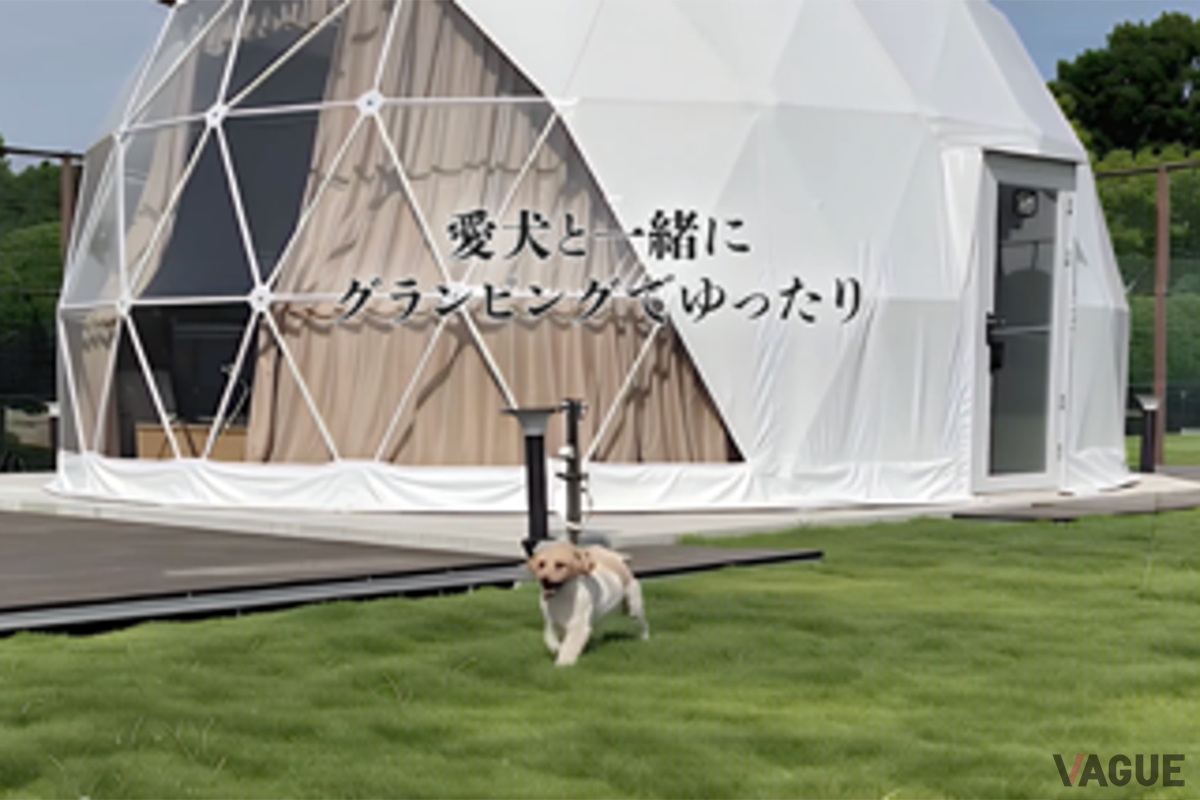 ドッグラン付きグランピングテント