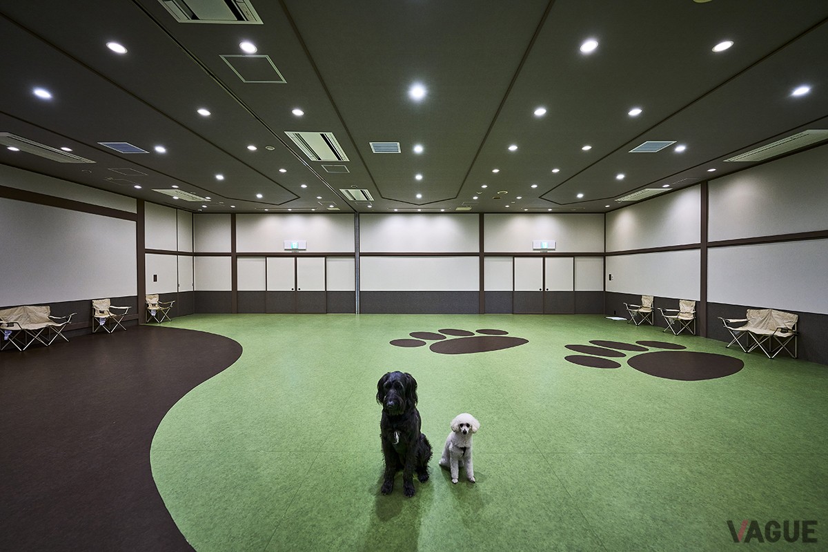 屋内ドックラン「Happy Tail」