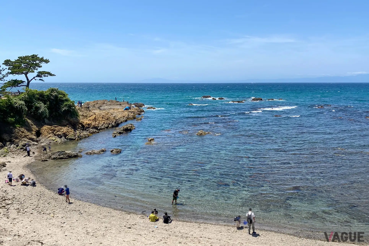 散歩に最適な秋谷海岸