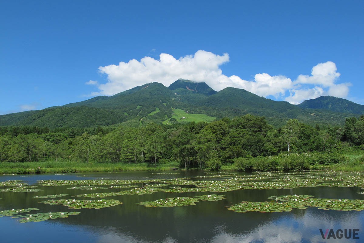 8位：妙高高原【新潟県】